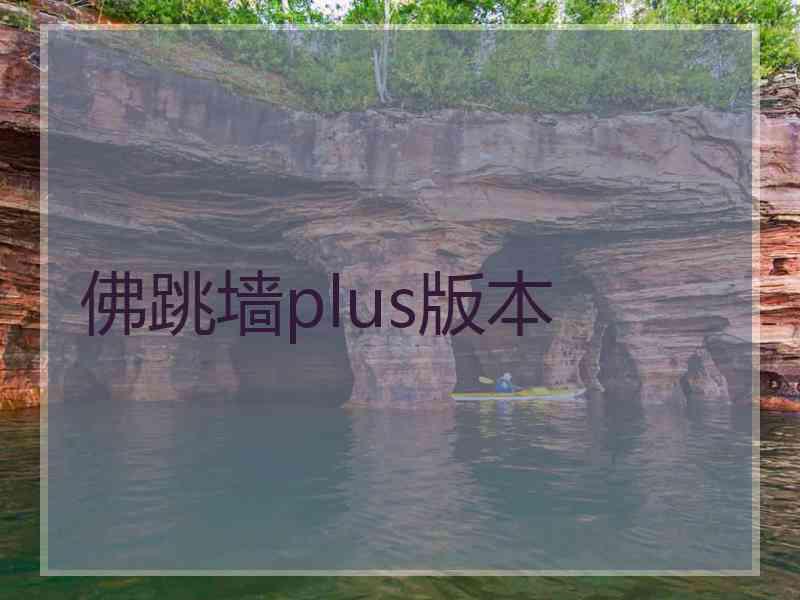 佛跳墙plus版本