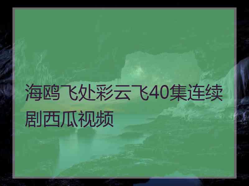 海鸥飞处彩云飞40集连续剧西瓜视频