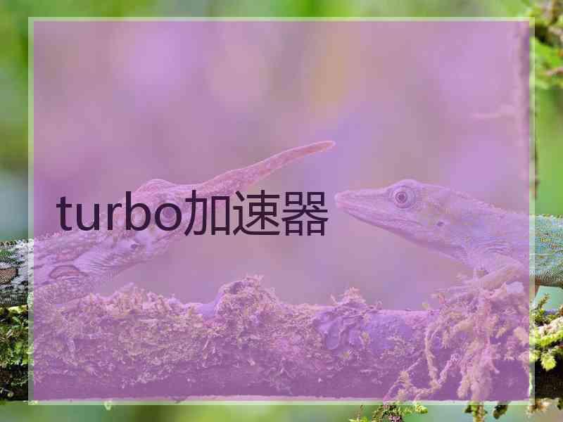 turbo加速器