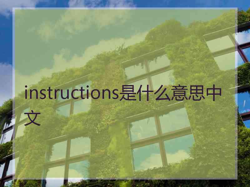 instructions是什么意思中文