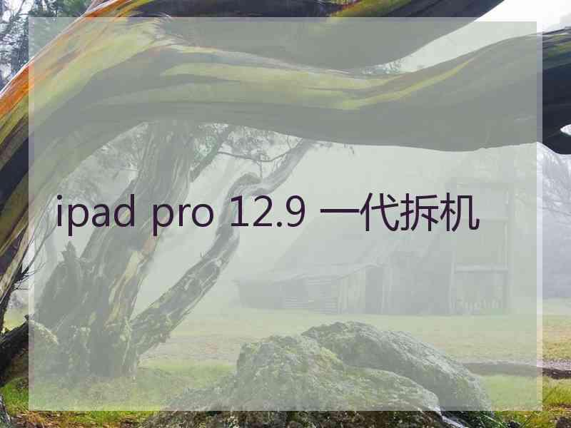 ipad pro 12.9 一代拆机