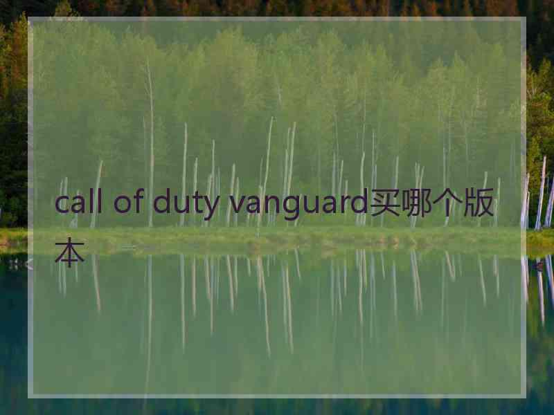 call of duty vanguard买哪个版本