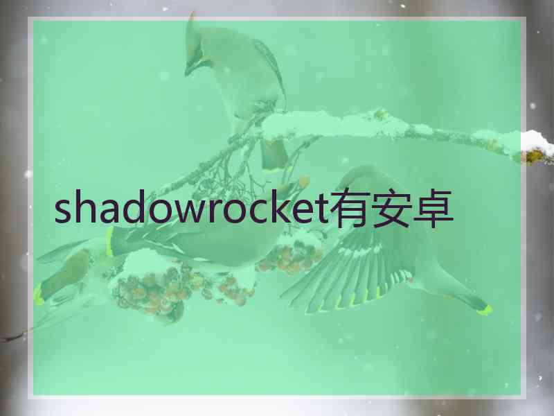 shadowrocket有安卓