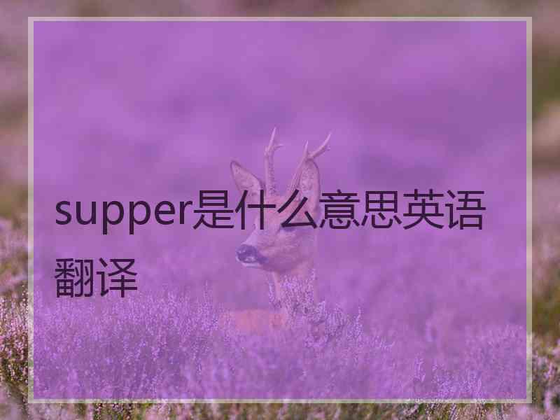 supper是什么意思英语翻译