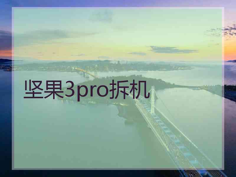 坚果3pro拆机