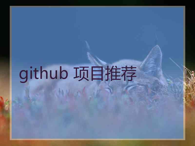 github 项目推荐