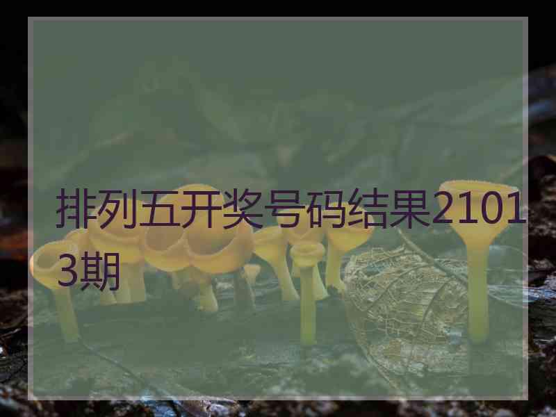 排列五开奖号码结果21013期