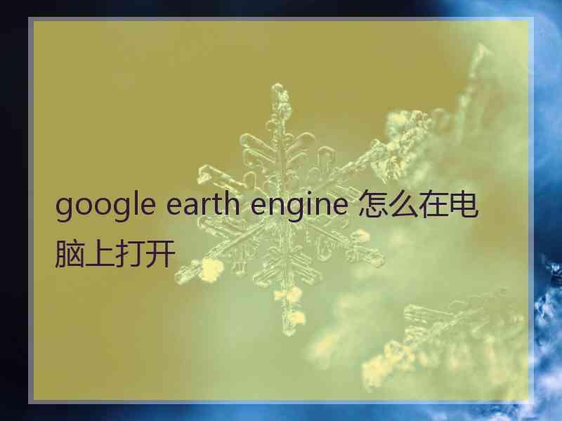 google earth engine 怎么在电脑上打开