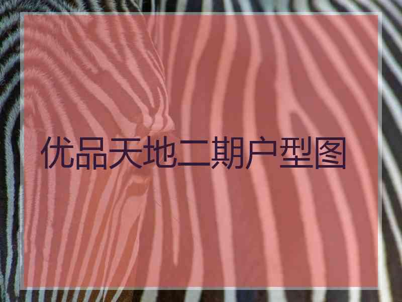 优品天地二期户型图