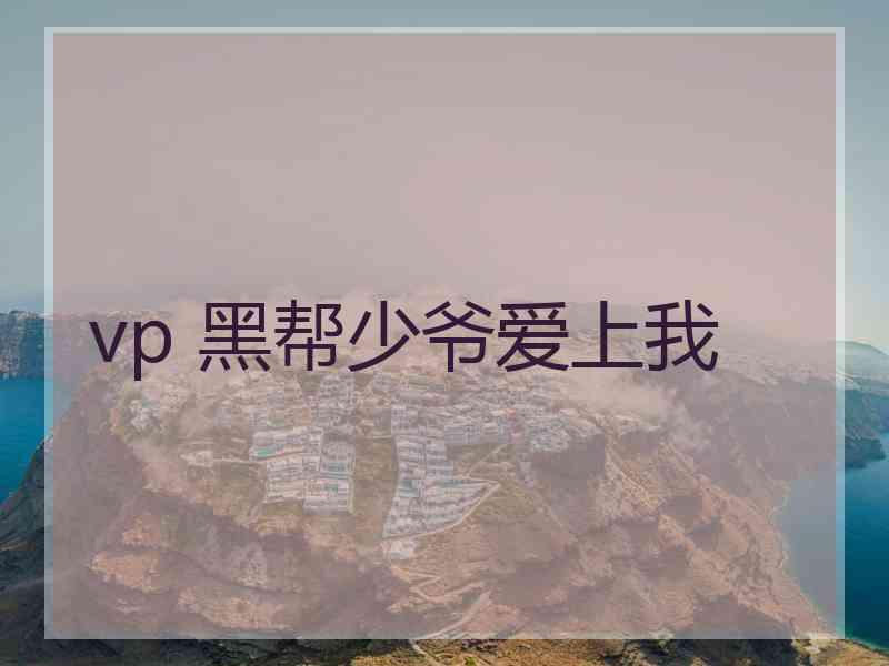 vp 黑帮少爷爱上我