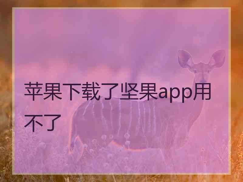 苹果下载了坚果app用不了