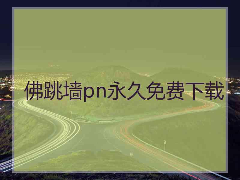 佛跳墙pn永久免费下载