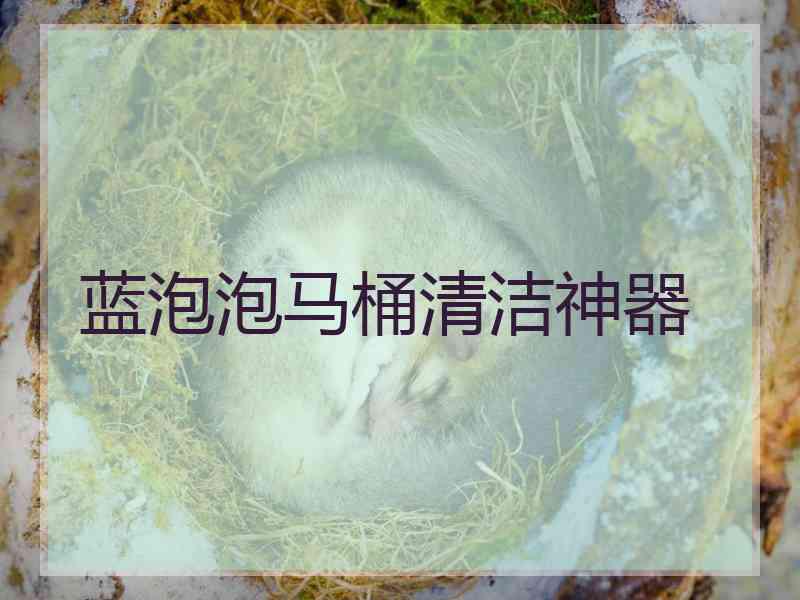 蓝泡泡马桶清洁神器