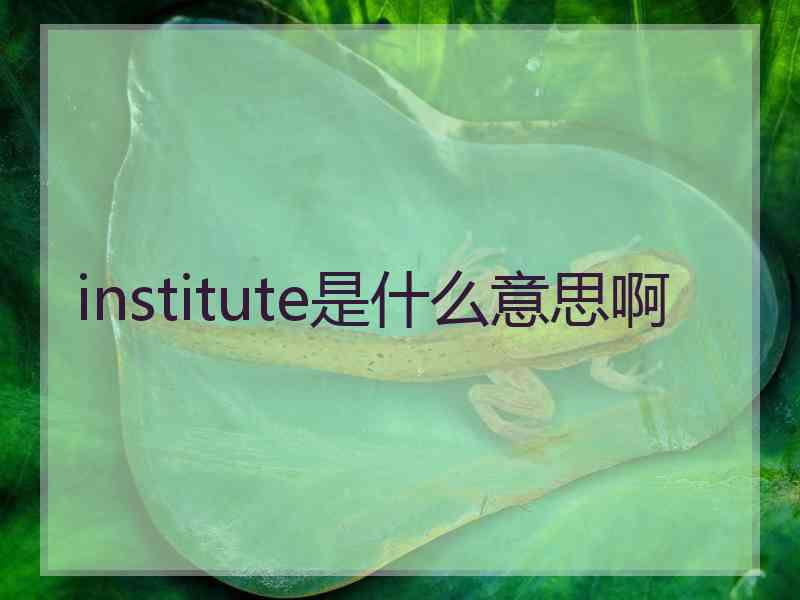 institute是什么意思啊