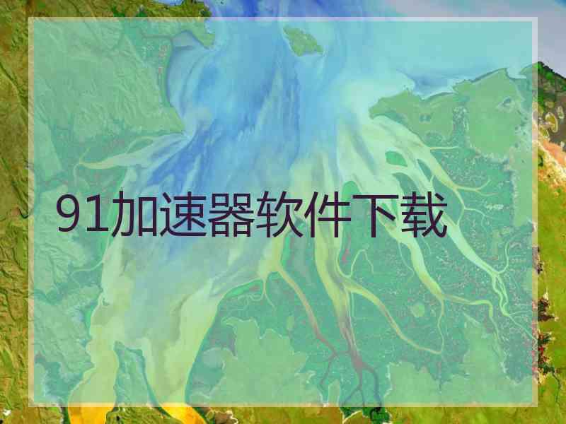 91加速器软件下载