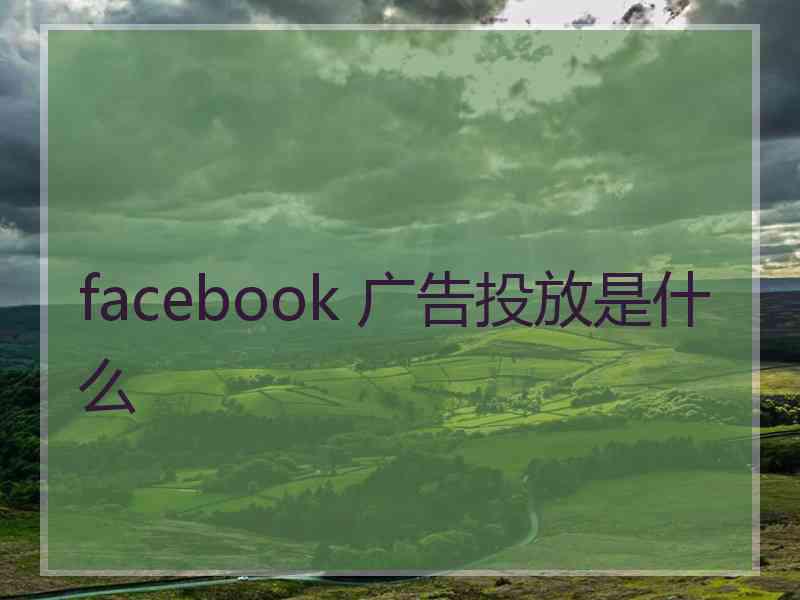 facebook 广告投放是什么