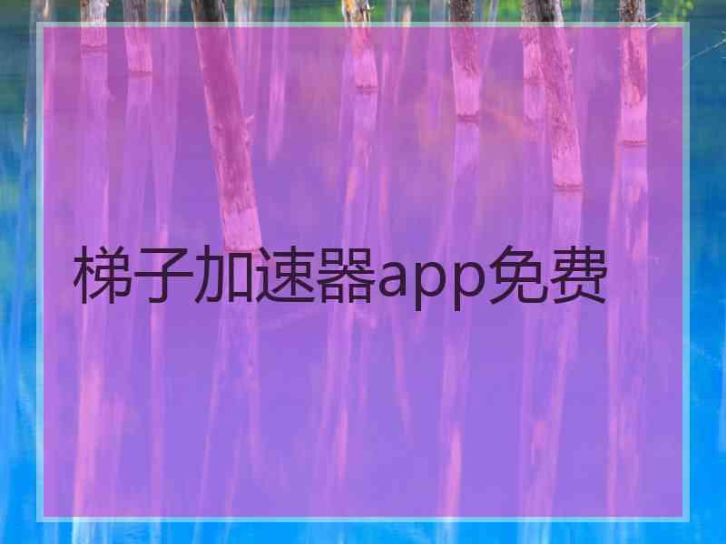 梯子加速器app免费