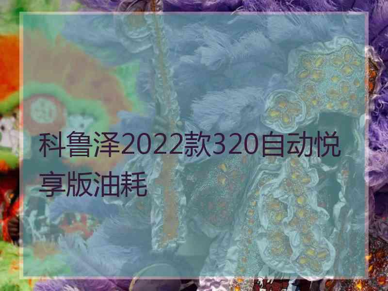 科鲁泽2022款320自动悦享版油耗