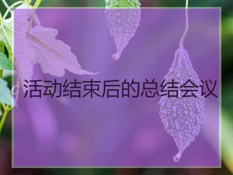 活动结束后的总结会议