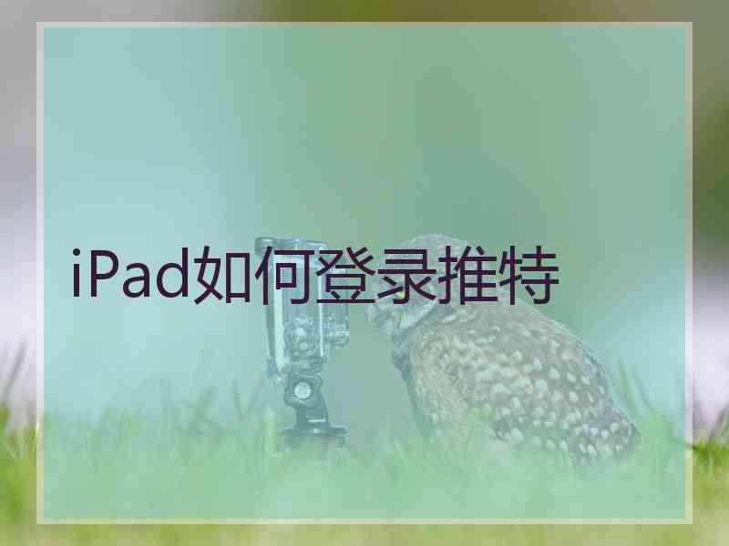 iPad如何登录推特