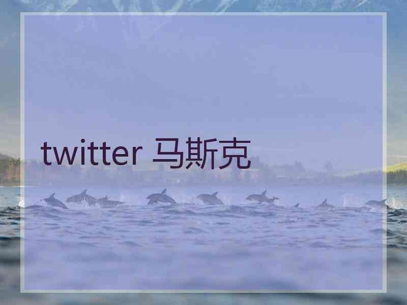 twitter 马斯克