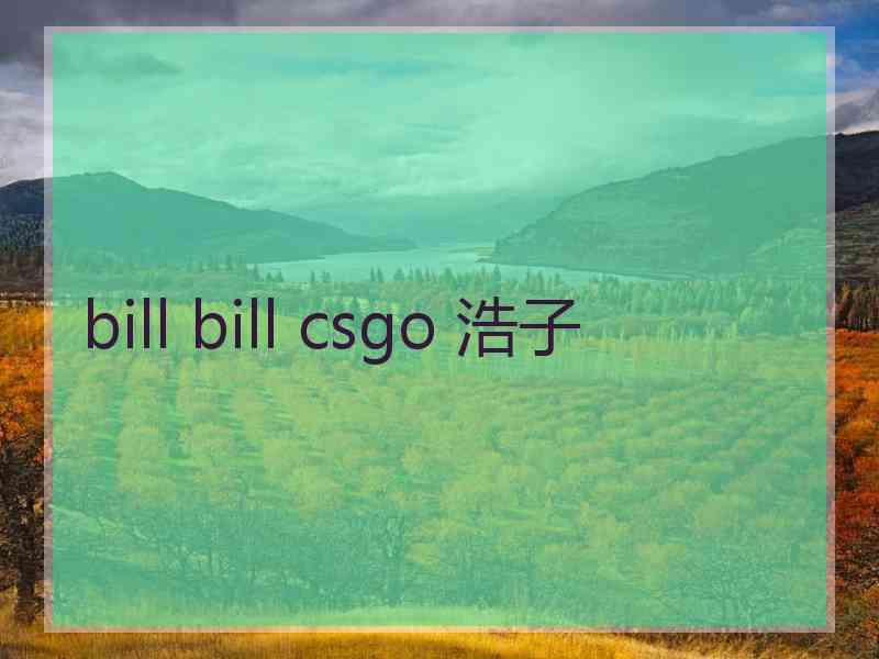 bill bill csgo 浩子