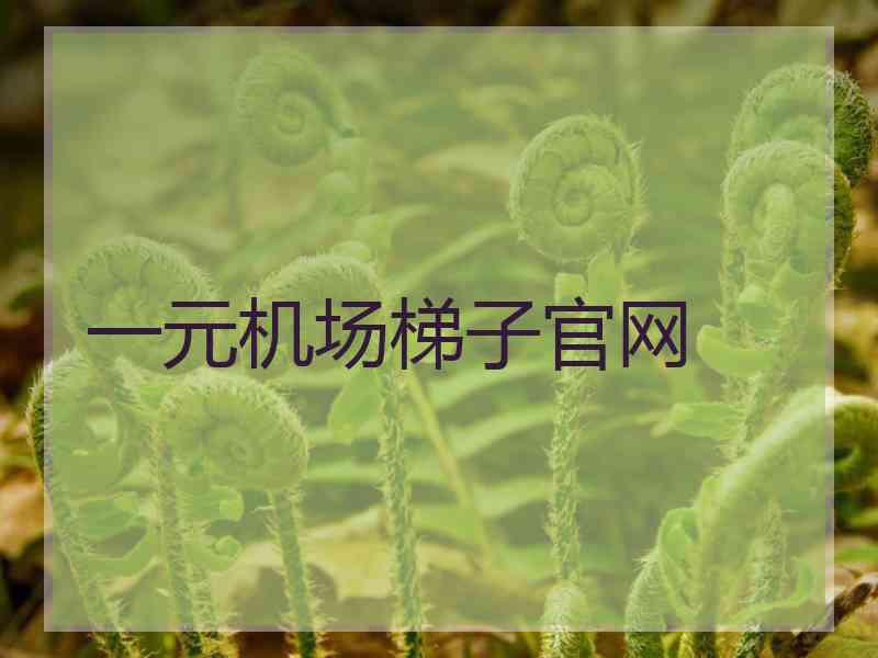 一元机场梯子官网