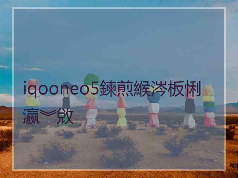 iqooneo5鍊煎緱涔板悧瀛︾敓