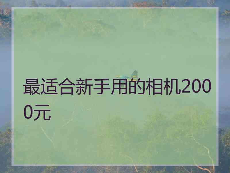 最适合新手用的相机2000元