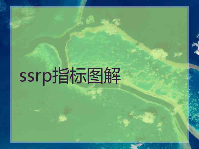 ssrp指标图解