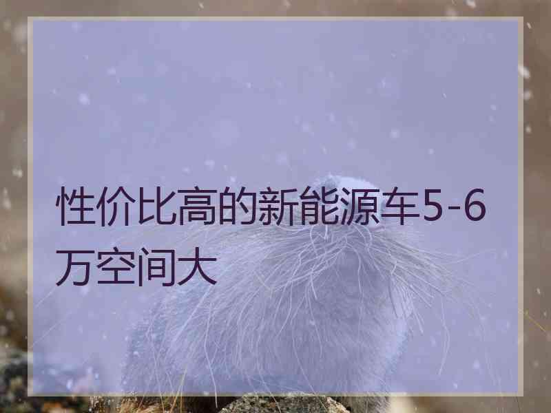 性价比高的新能源车5-6万空间大