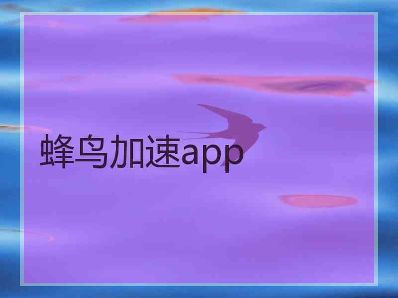 蜂鸟加速app