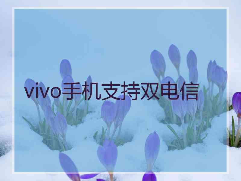 vivo手机支持双电信