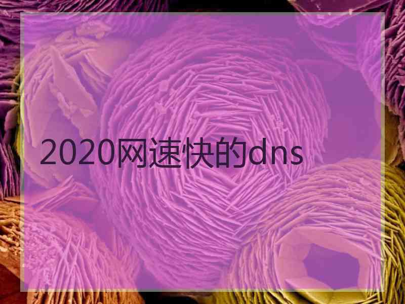 2020网速快的dns