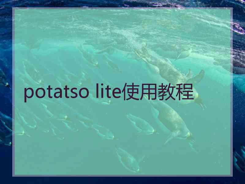 potatso lite使用教程