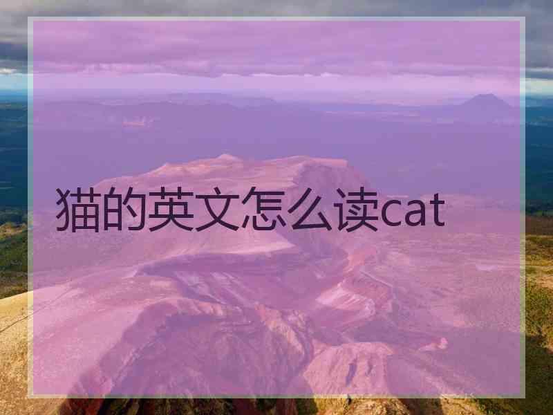 猫的英文怎么读cat