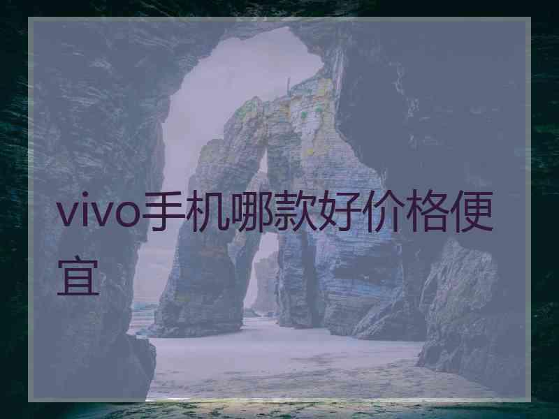 vivo手机哪款好价格便宜