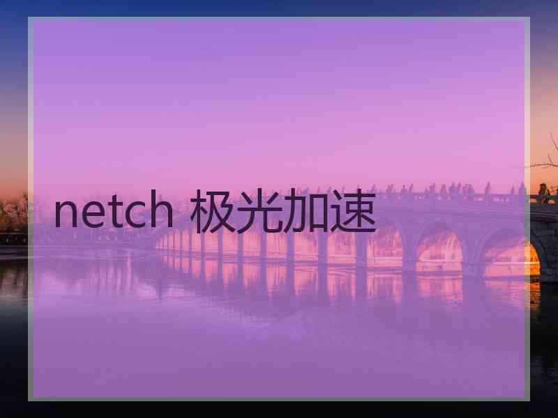 netch 极光加速