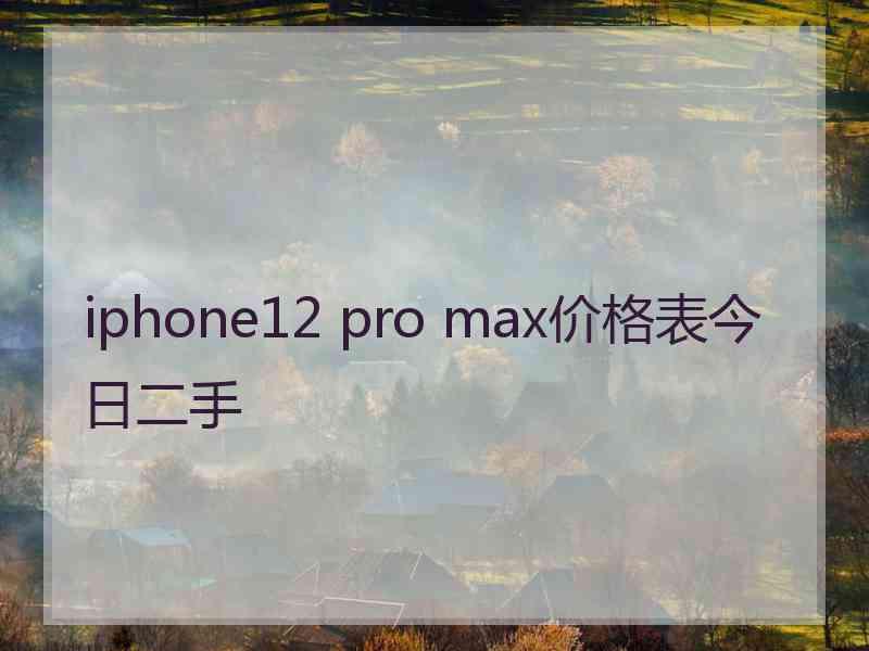 iphone12 pro max价格表今日二手