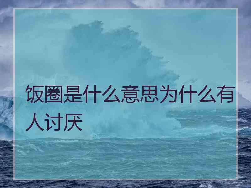 饭圈是什么意思为什么有人讨厌