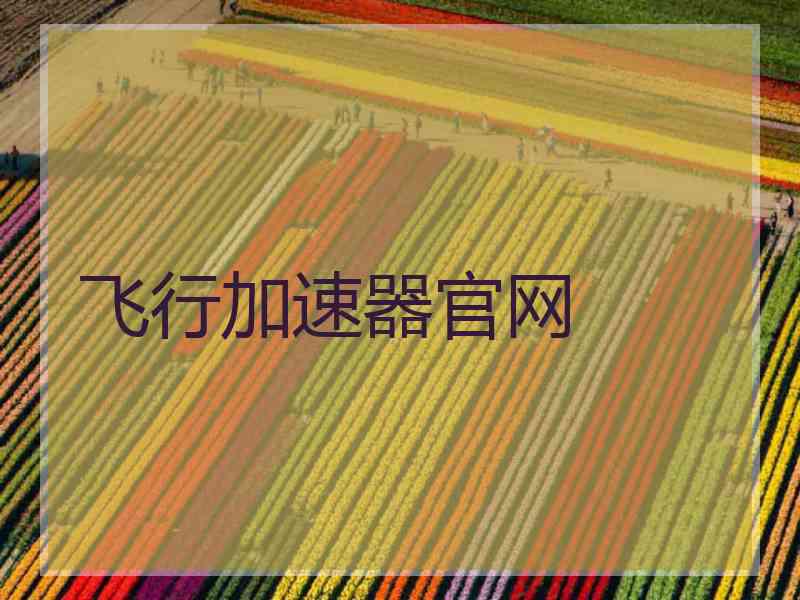 飞行加速器官网