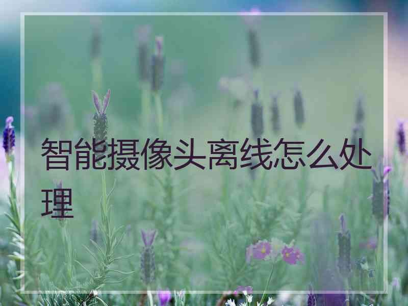 智能摄像头离线怎么处理