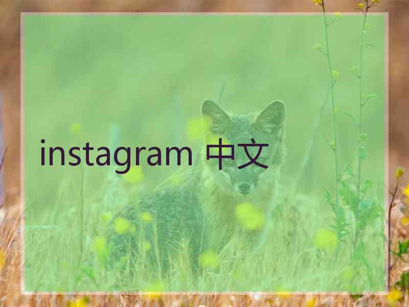 instagram 中文