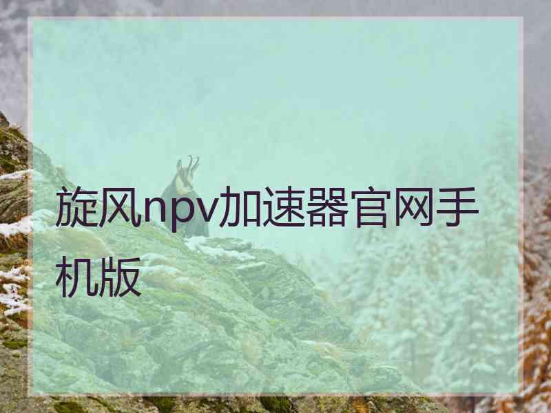 旋风npv加速器官网手机版