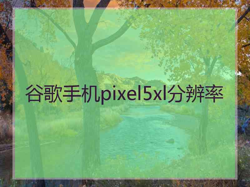 谷歌手机pixel5xl分辨率