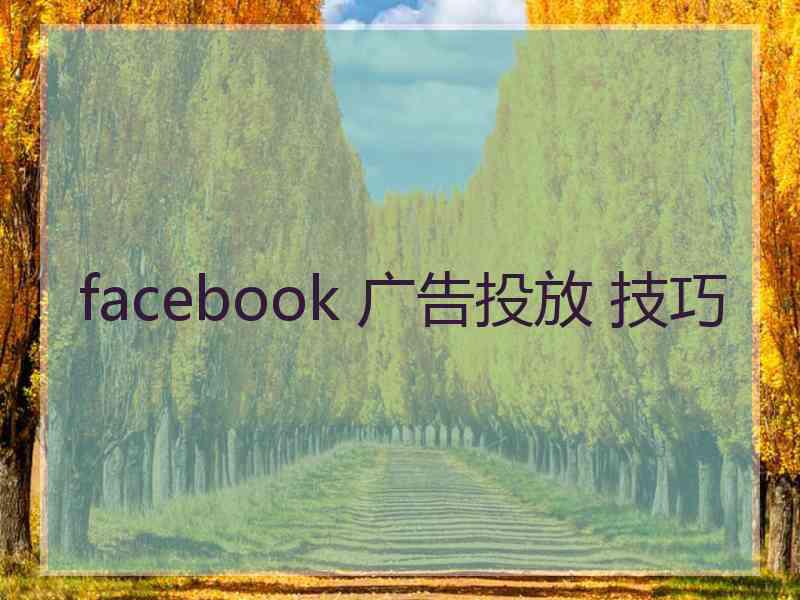 facebook 广告投放 技巧