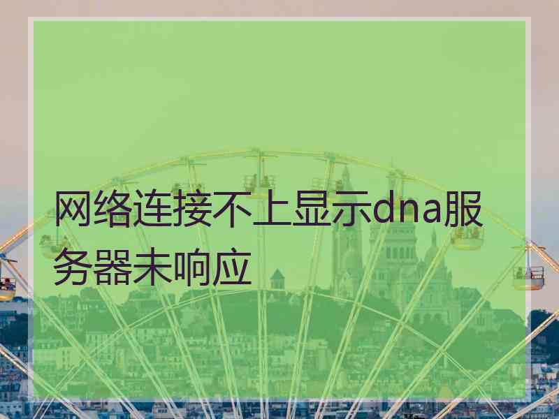 网络连接不上显示dna服务器未响应