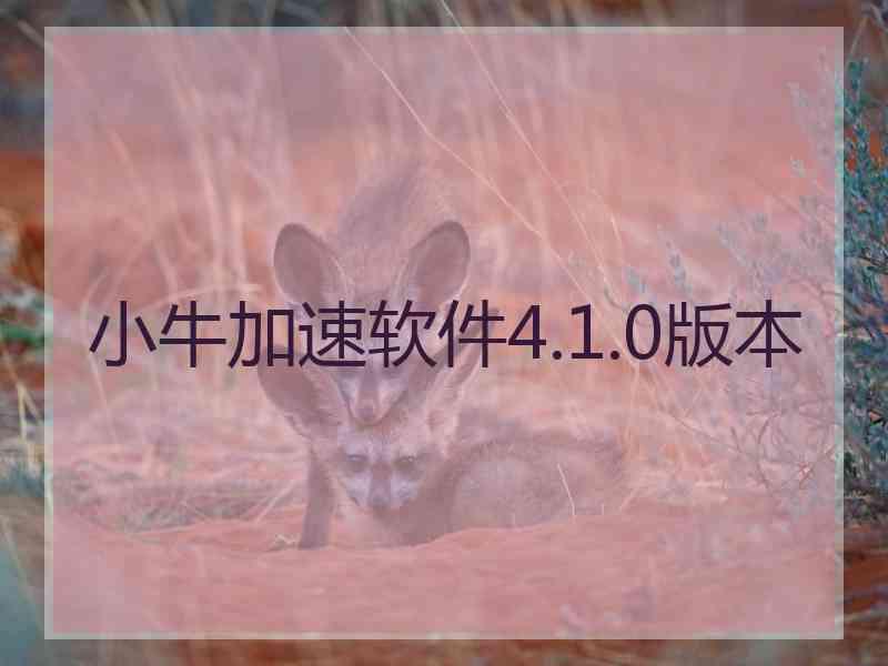 小牛加速软件4.1.0版本