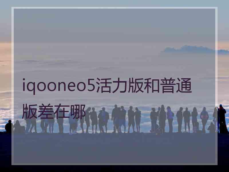 iqooneo5活力版和普通版差在哪