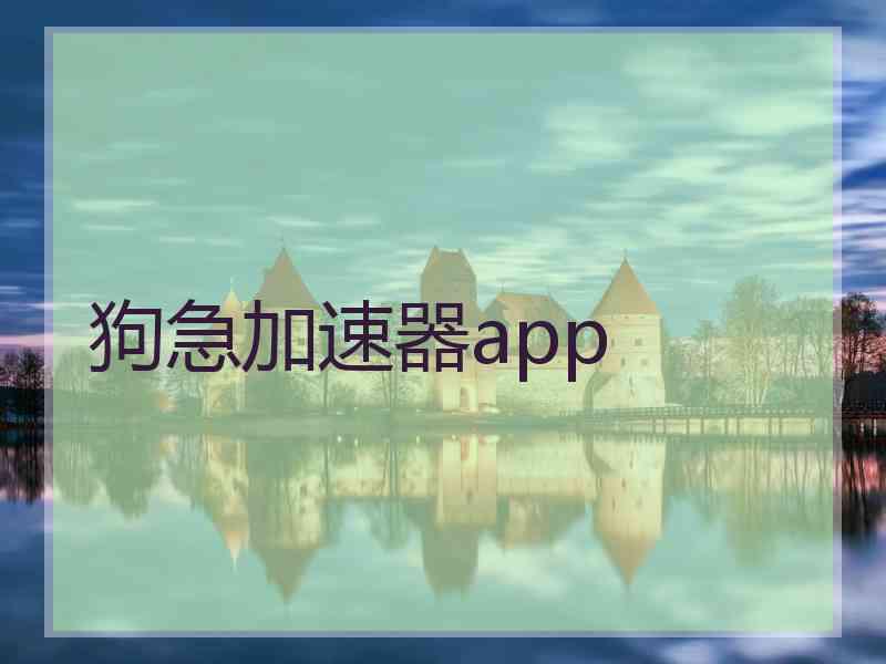 狗急加速器app